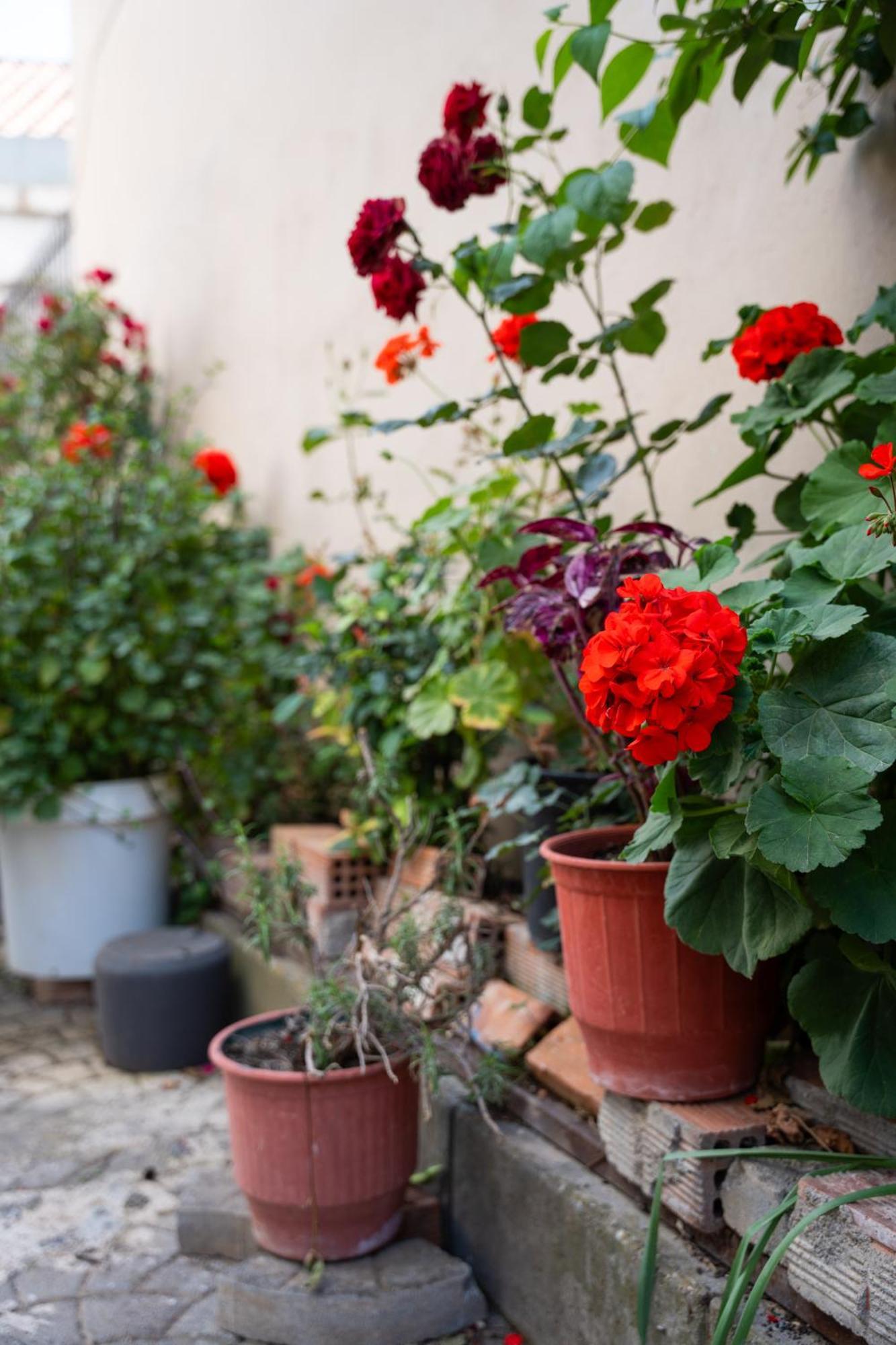Nyx Guesthouse ตรีโปลิส ภายนอก รูปภาพ