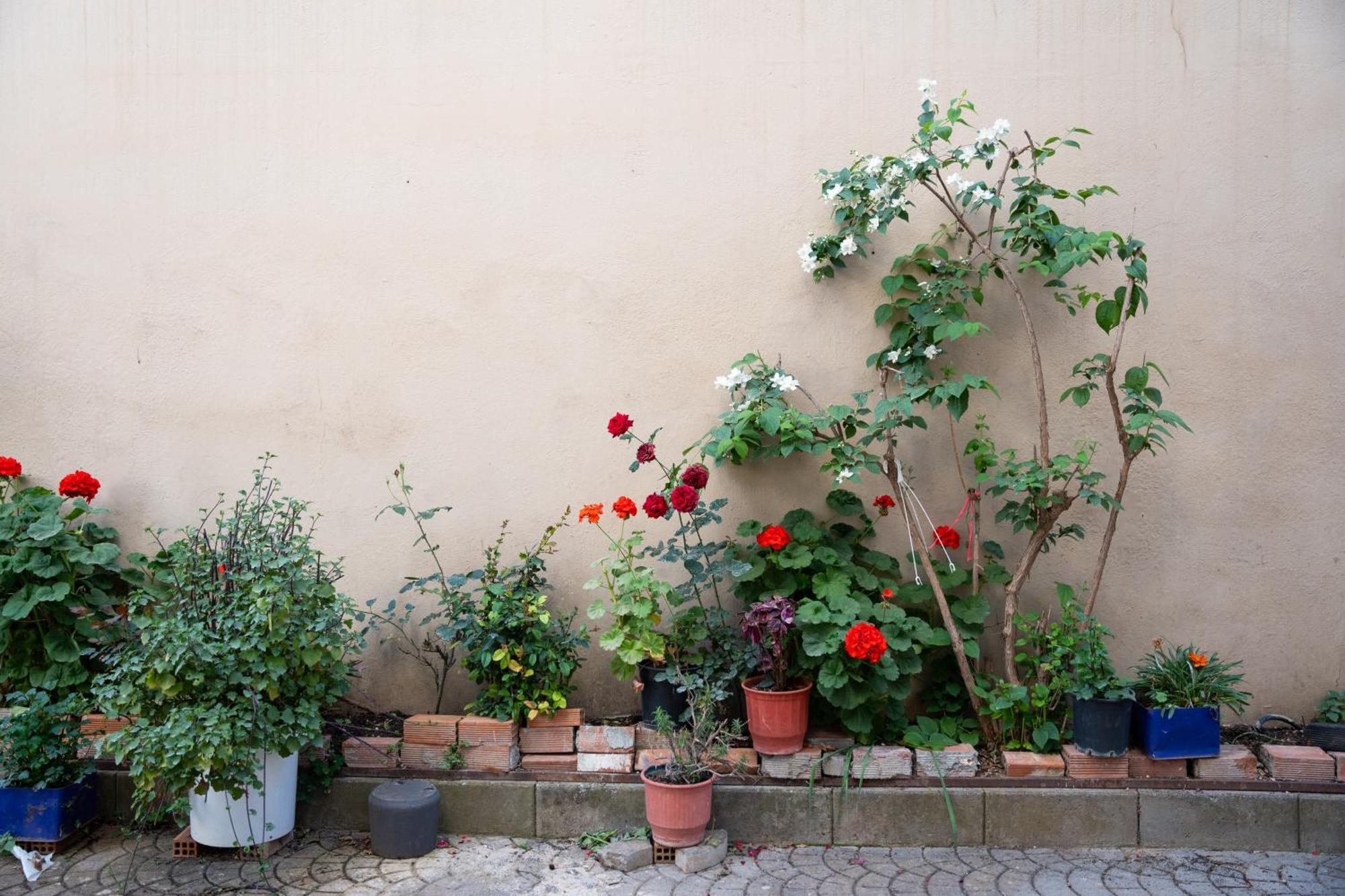 Nyx Guesthouse ตรีโปลิส ภายนอก รูปภาพ